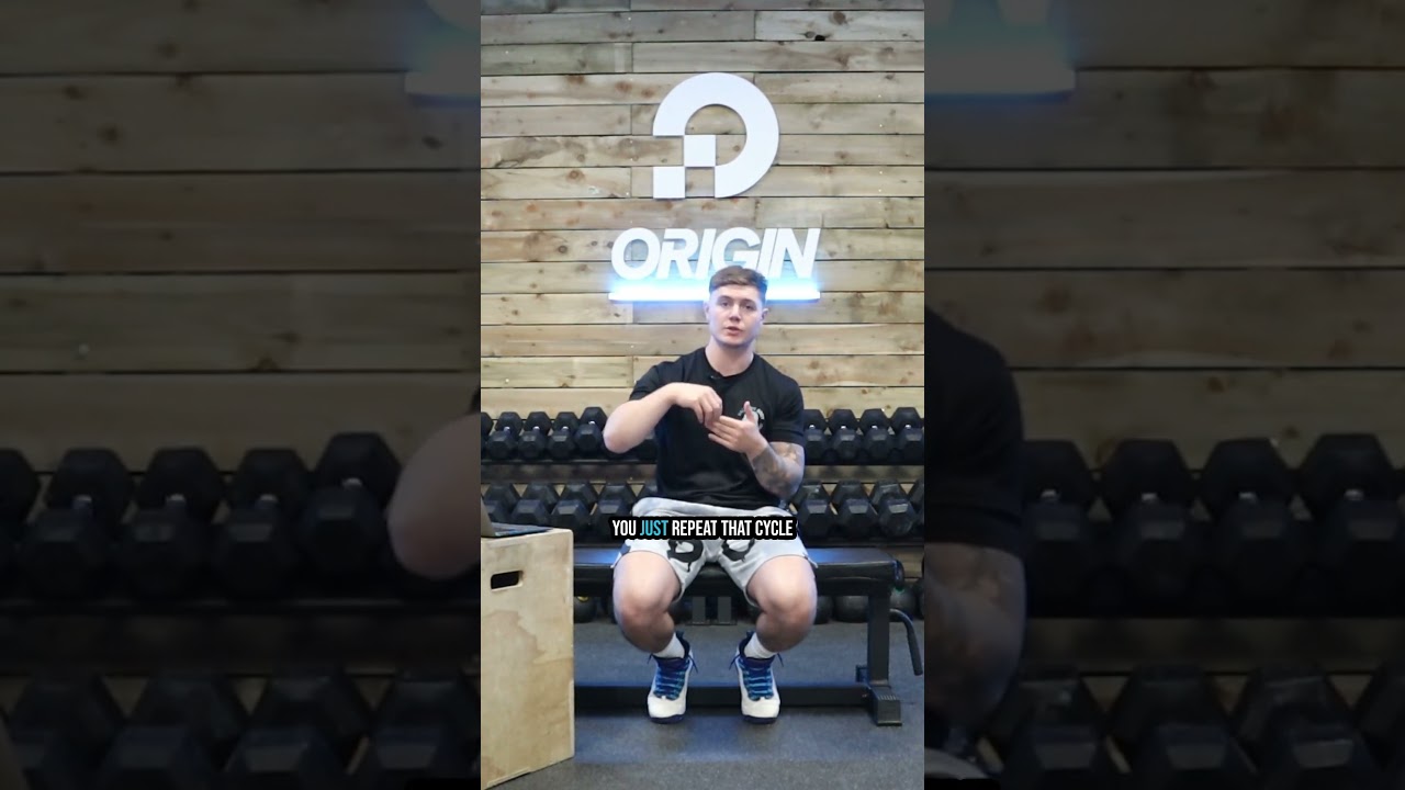 Day 8 - Why you should train your muscles frequently- Part 2