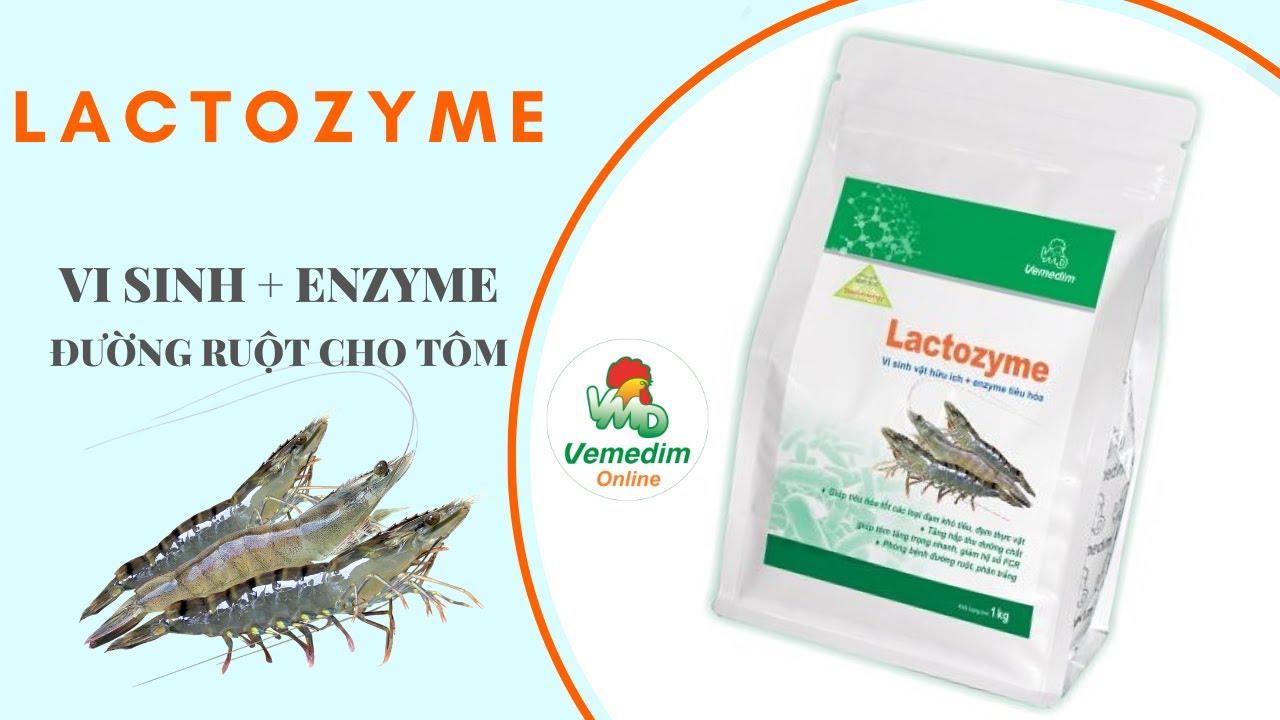 LACTOZYME - Vi sinh đường ruột cho tôm| VEMEDIM