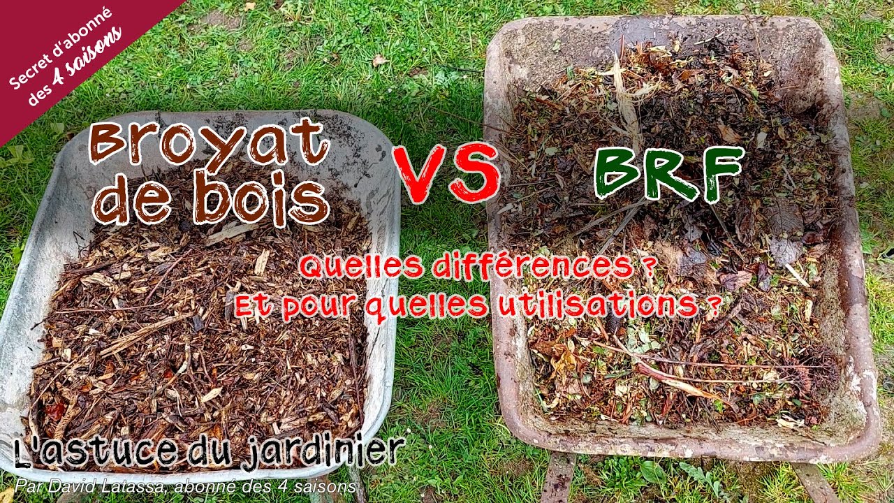 Les différences entre le broyat de bois et le BRF - Secret d'abonné des 4 Saisons