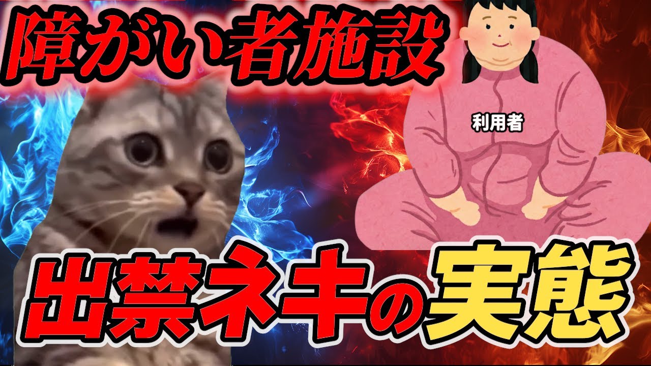 【障がい者施設のリアル】出禁ネキの実態(前編)　#猫ミーム #仕事