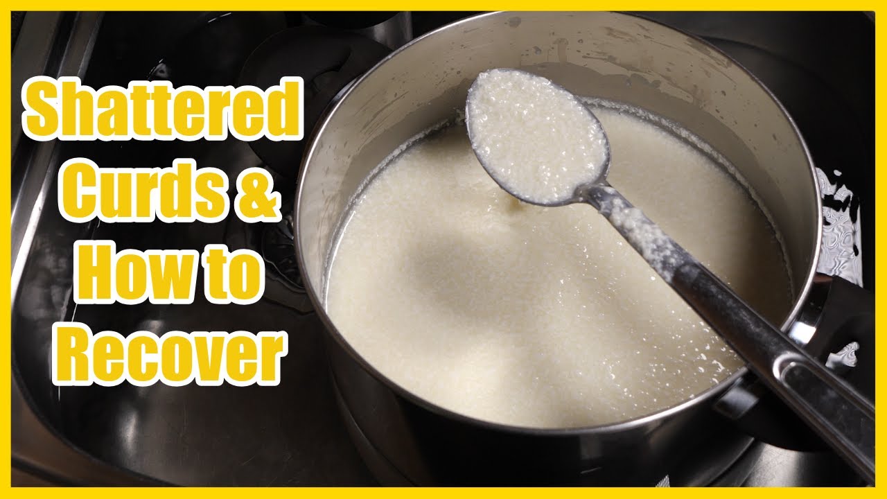 Using Pasteurised and Homogenised Milk - Recovering from Shattered Curds