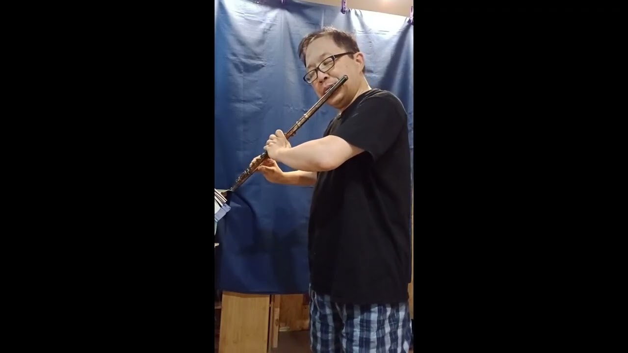 還是覺得你最好 (flute)