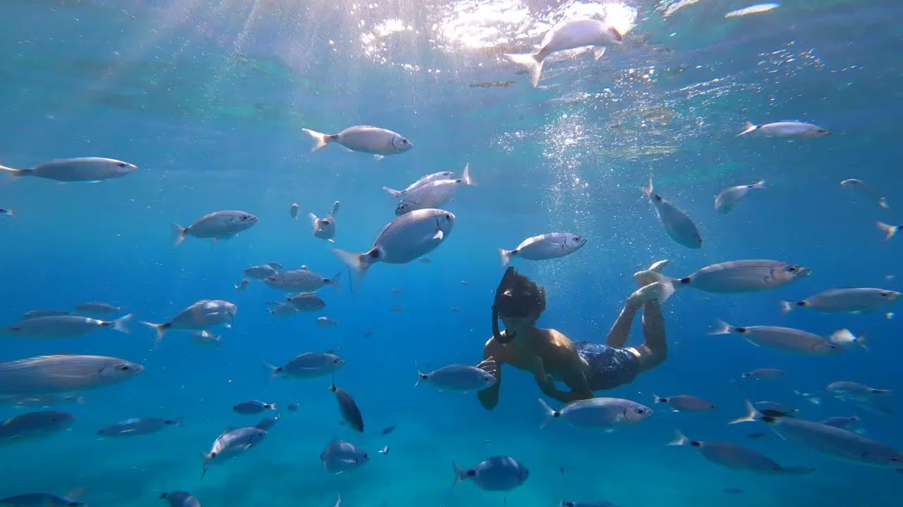 Isola d'Elba 4k