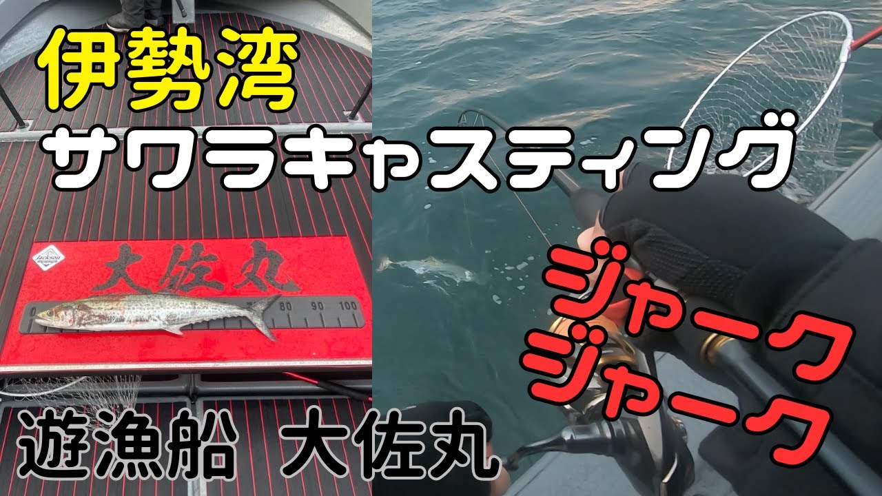 伊勢湾サワラキャスティング！大佐丸でバーティス140Fのジャーキング！