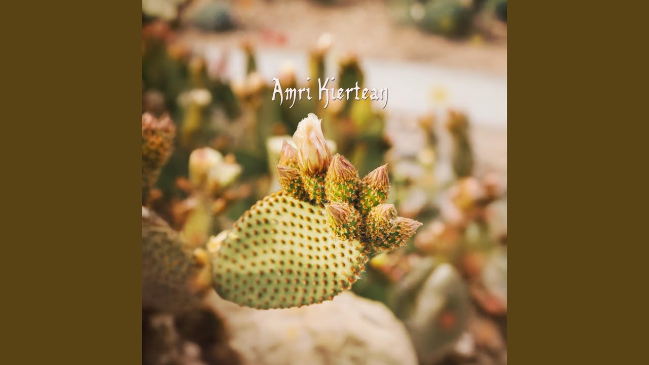 Ancestral Rhythm