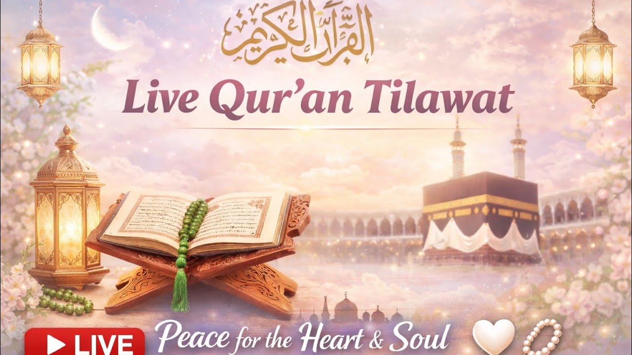 🔴 Live Holy Quran Recitation | Beautiful & Peaceful Tilawat 🤍📖