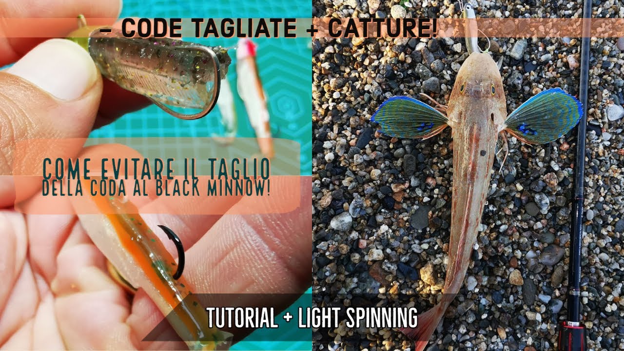 MONTAGGIO ASSIST HOOK sul BLACK MINNOW 70 e 90 + cattura GALLINELLA - clipangler