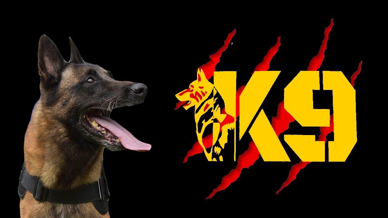 Escuadrón canino K9 - Héroes Reales