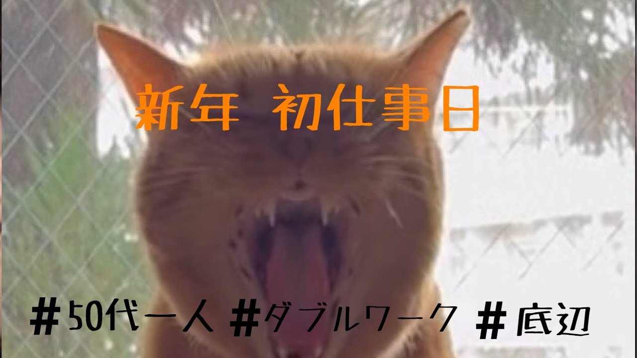【猫のいる暮らし】新年仕事始めの一日。猫との暮らし。
