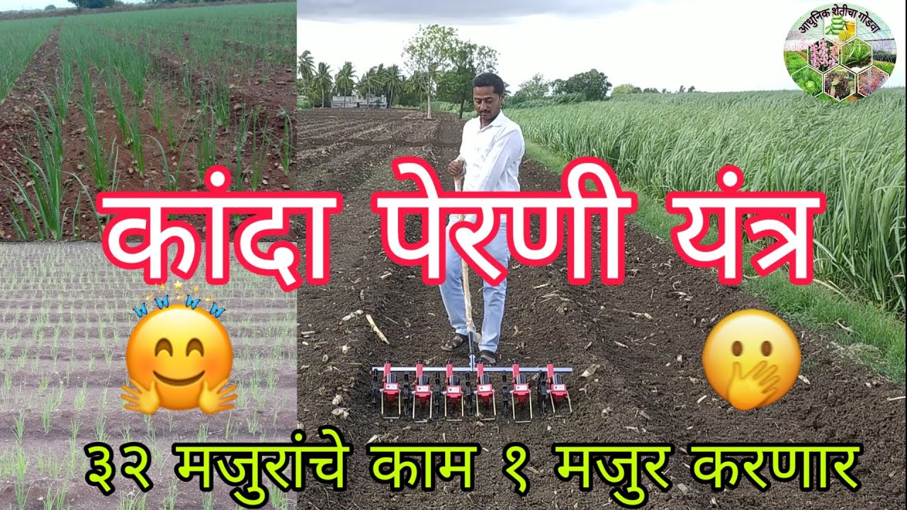 कांदा पेरणी यंत्र (मानवचलित) Kanda perni yantra.. Onion Seed-dril#कांदा #प्याज