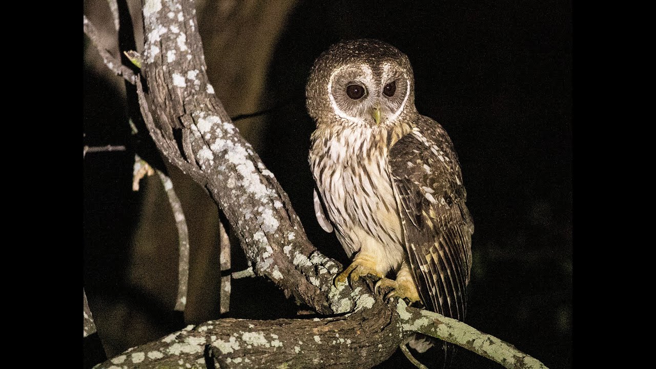 South Texas Winter Tours Overview