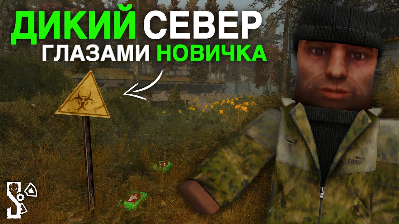 ДИКИЙ СЕВЕР - ГЛАЗАМИ НОВИЧКА! | РЫЖИЙ ЛЕС, НОВЫЕ АРТЕФАКТЫ, СОВЕТЫ | STALCRAFT: X | Дневник ЦА №61