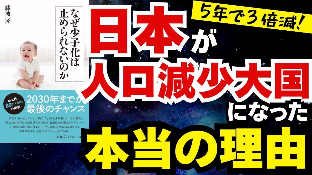 【日本】なぜ少子化は止められないのか【人口減少】【経済】