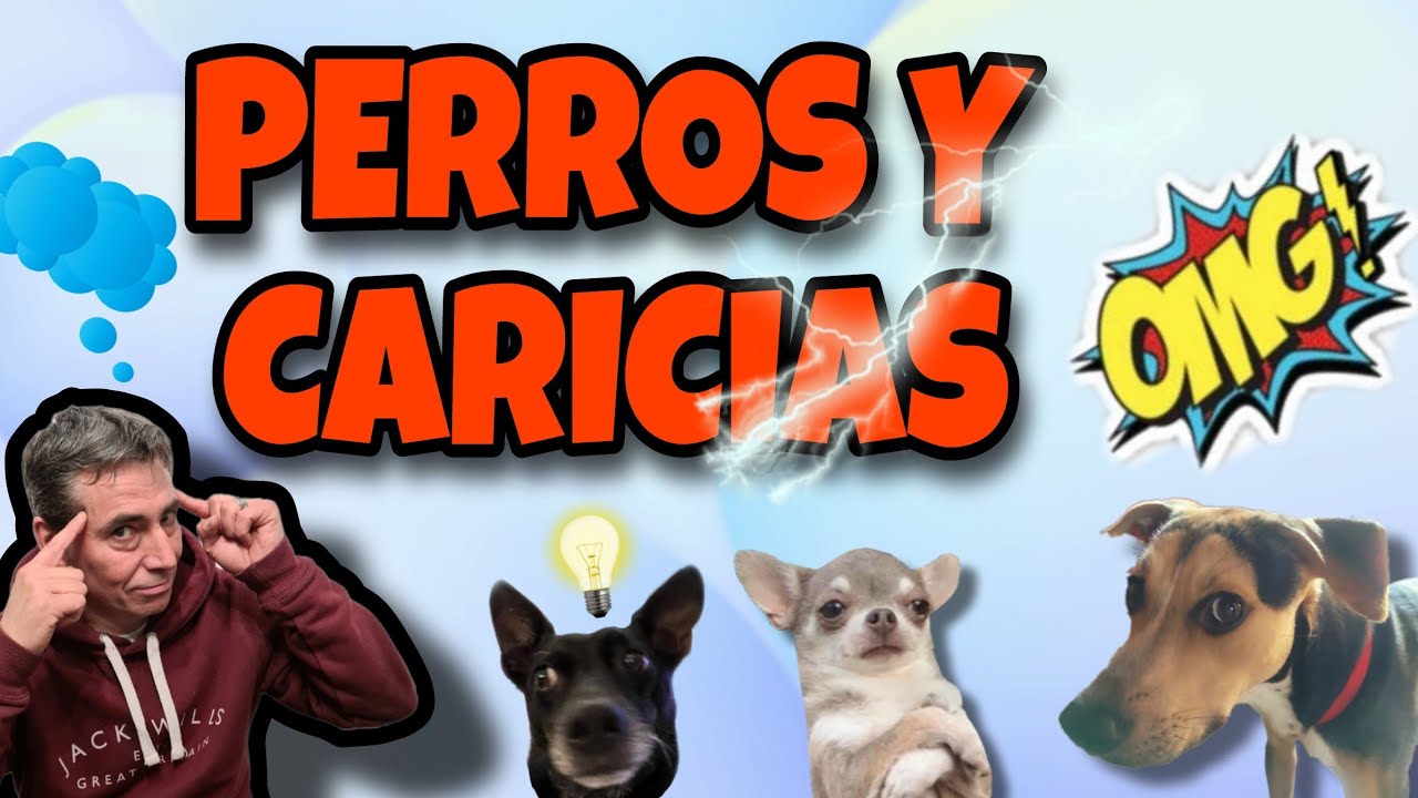 ¿Cómo debo acariciar a mi perro?
