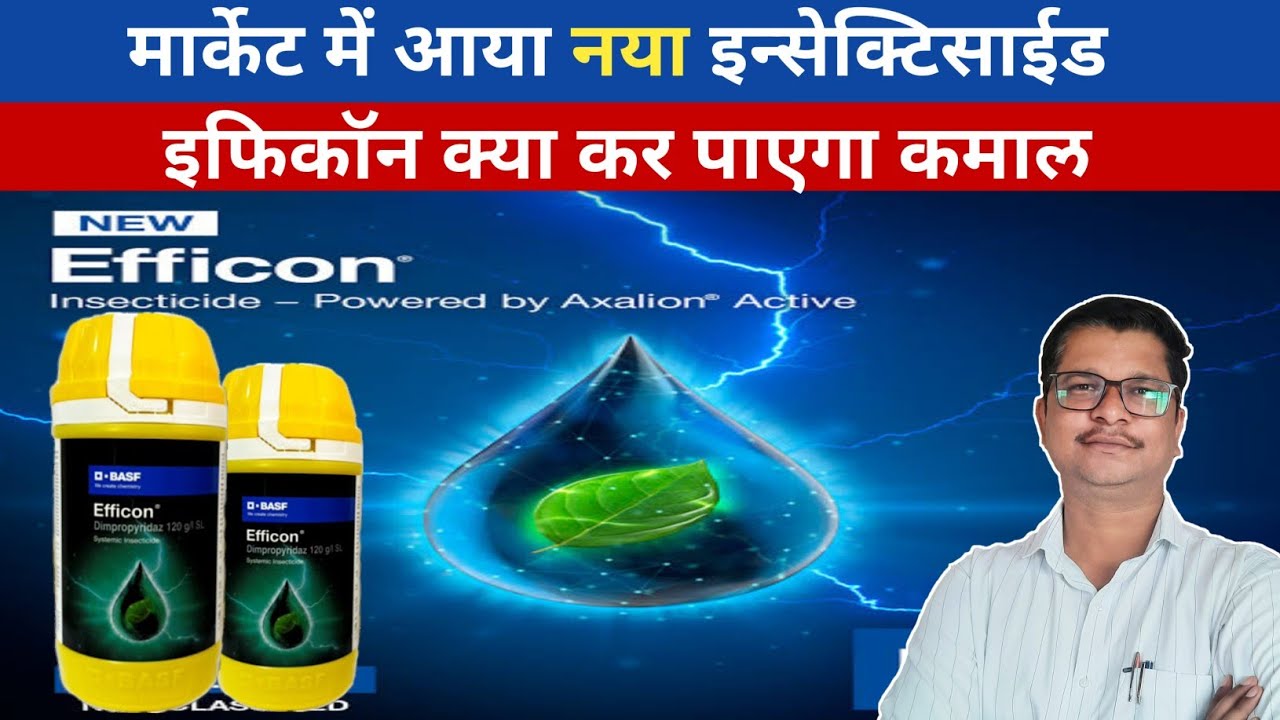 Efficon BASF | Efficon Insecticide New Product | Best Insecticide