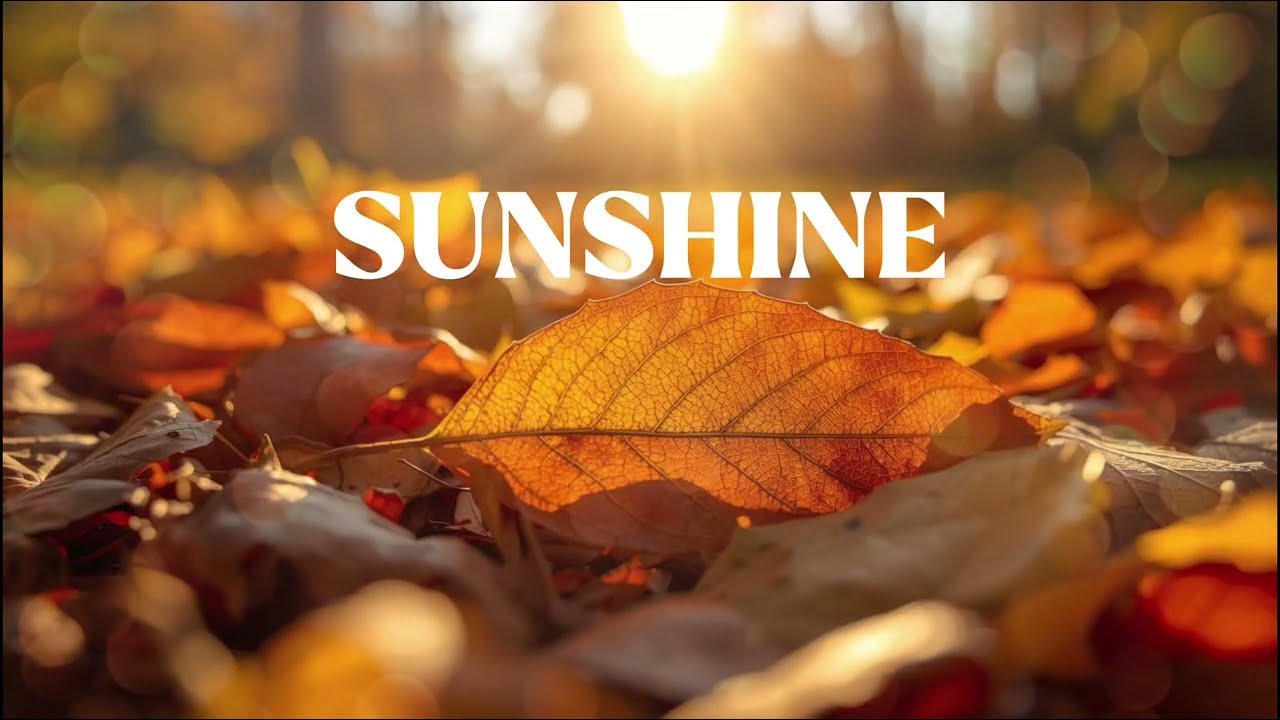 SUNSHINE - Peaceful Guitar Music | Whispering Notes #piano #relaxing #backgroundmusic #relaxingmusic