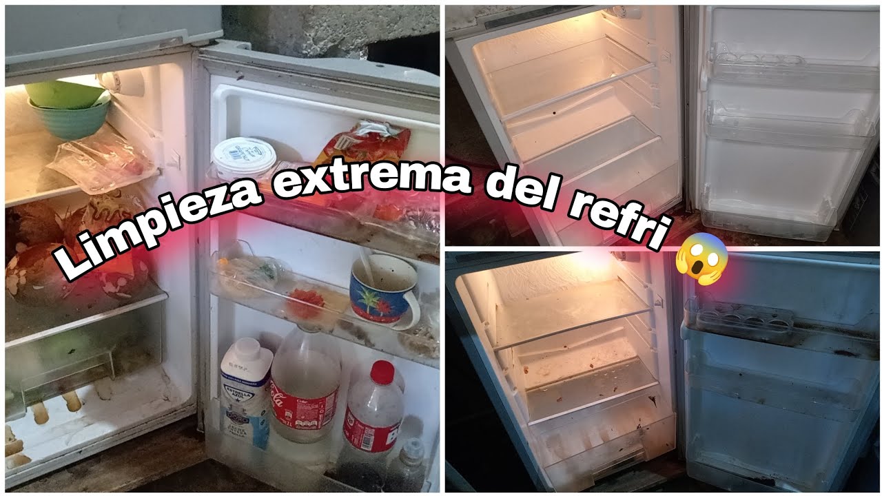 • Limpieza profunda del refrigerador | Acomodando, limpiando, Cocinando y cuidando mi hogar 