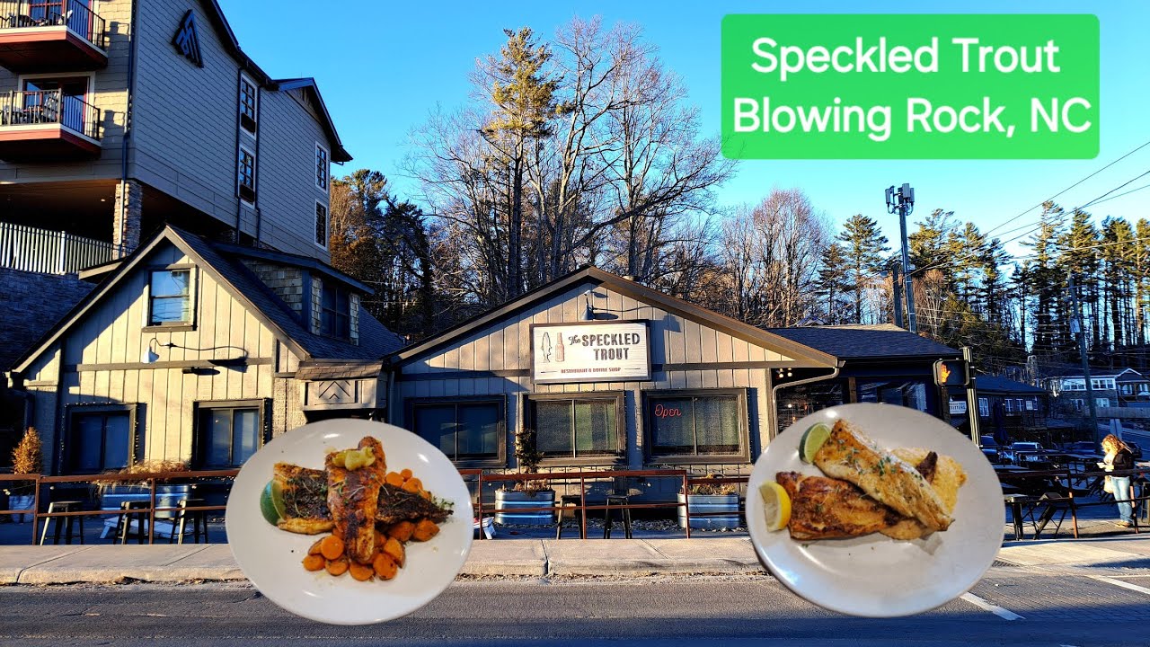 Speckled Trout - Blowing Rock, North Carolina