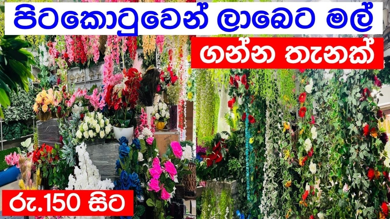 මල් වලට කැමති අයට | අඩුවට මල් ගන්න තැනක් බලනවද?💐🌸🌿