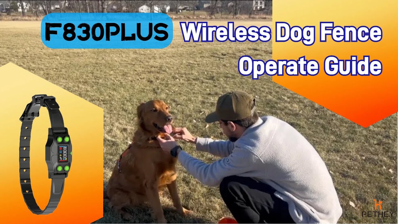 F830PLUS Wireless Dog Fence Operate Guide