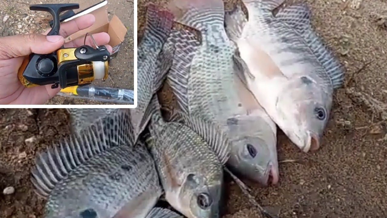 Testando mais um anzol da SHOPEE na prática pescando tilápia