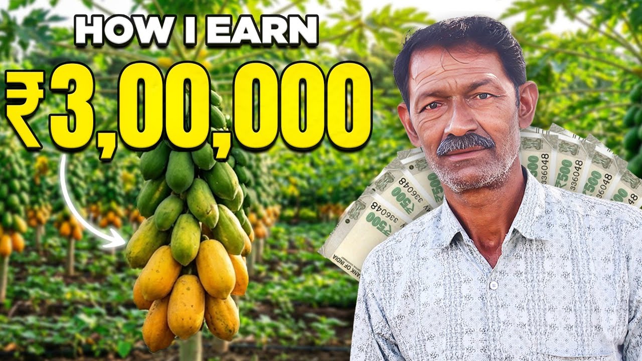 अब अपने Farm के Fruits की market value खुद बनाओ | papaya farming | Explorersathi 