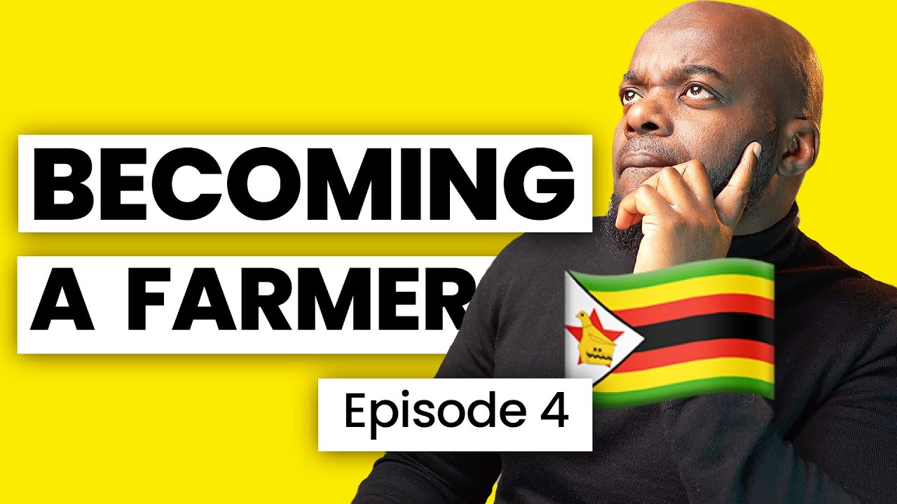 Becoming A Farmer In Zimbabwe - Starting a free range organic egg farm : Permaculture farming EP 4