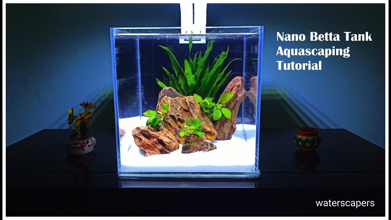 Nano Betta Tank Aquascaping - Betta Tank Setup 3 Gallon