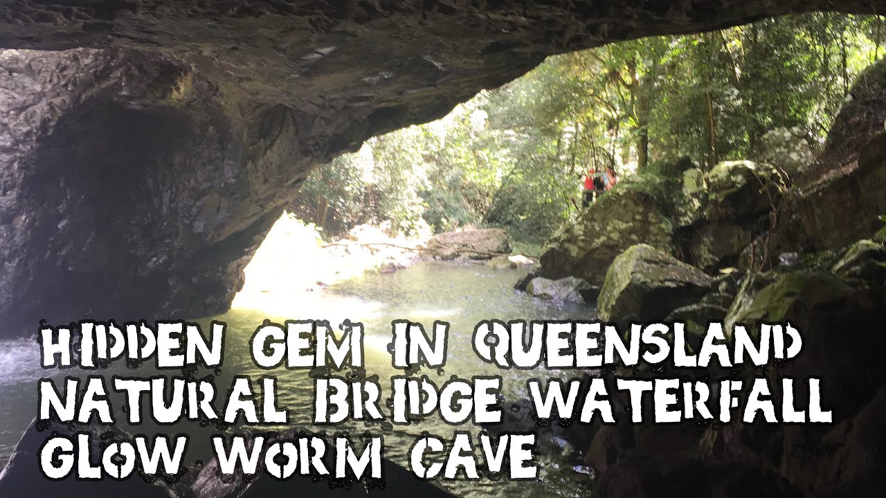 Exploring Natural Bridge, Queensland | Hidden Gem in the Rainforest