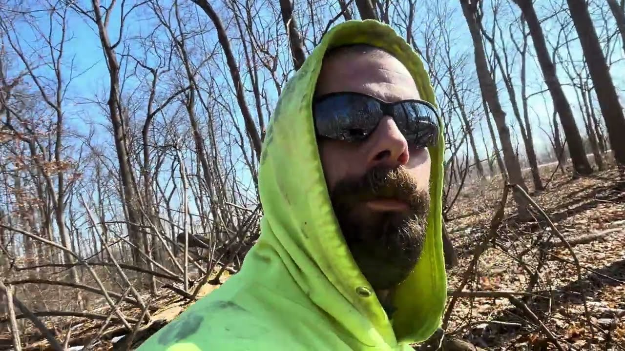 Walking up fallen dead wood 