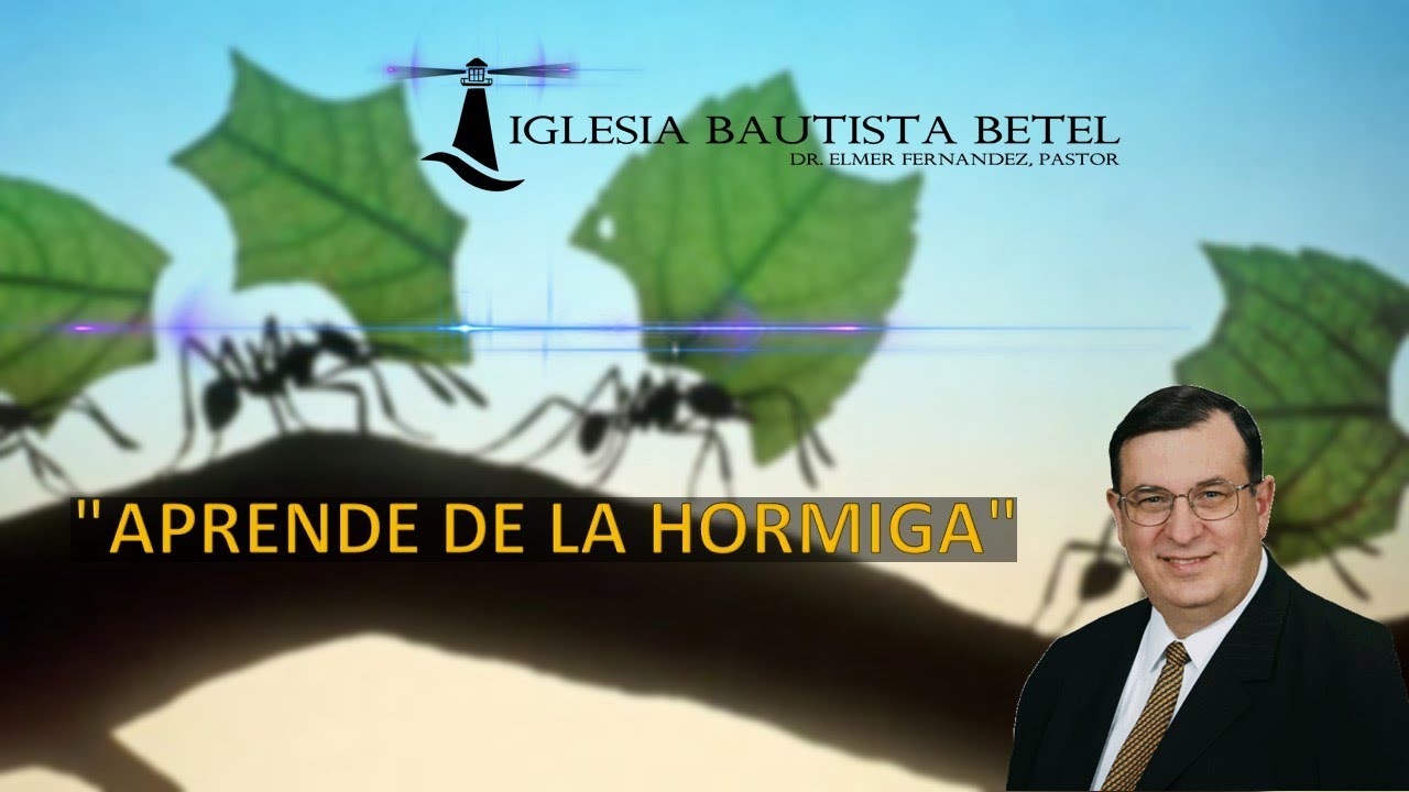Servicio Domingo Am 08/31/2025  Pastor Elmer Fernández   Tema: Aprende de la Hormiga