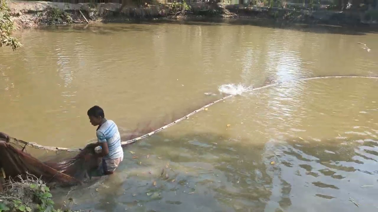 Net fishing video #foryou #fishing #villagelife 