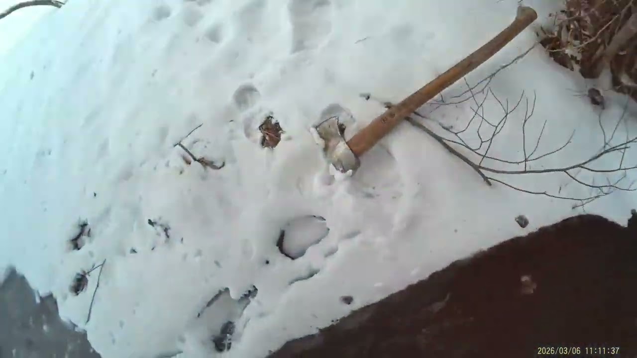 Проверка четырехместного номера