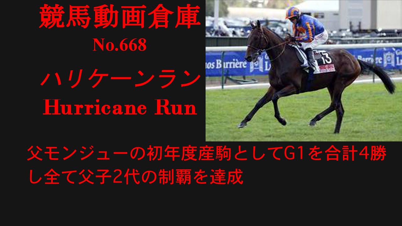 【競馬】ハリケーンラン　Hurricane Run【No668】