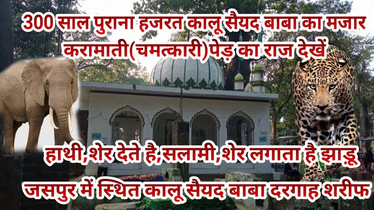 Uttarakhand Jaspur Kalu Syed Dargah,Mazar,300 साल पुराना हजरत कालू सैयद बाबा का मजार