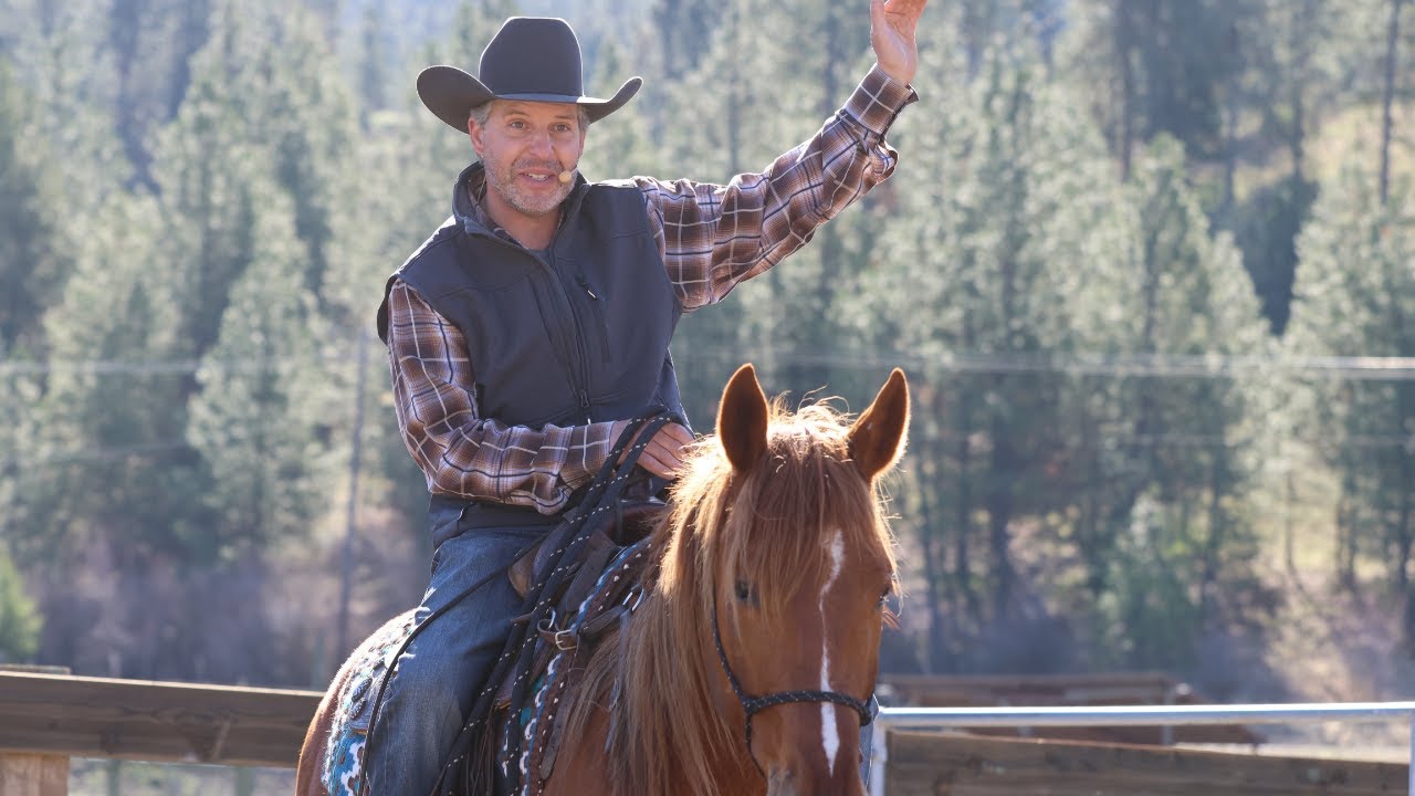 Live with Steve Rother - Foundation Principles