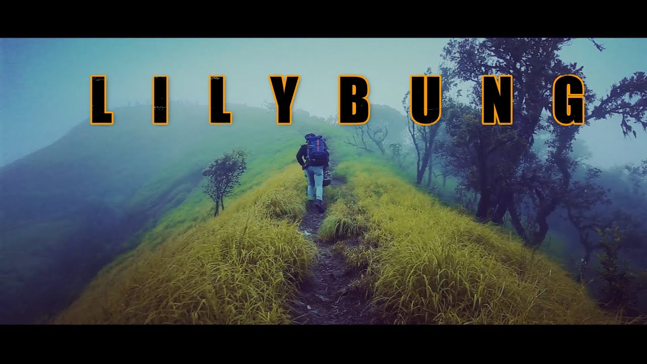 LILYBUNG || GAMVET MOUL, LOMPI VILLAGE || CHAKPIKARONG ||  MALSON