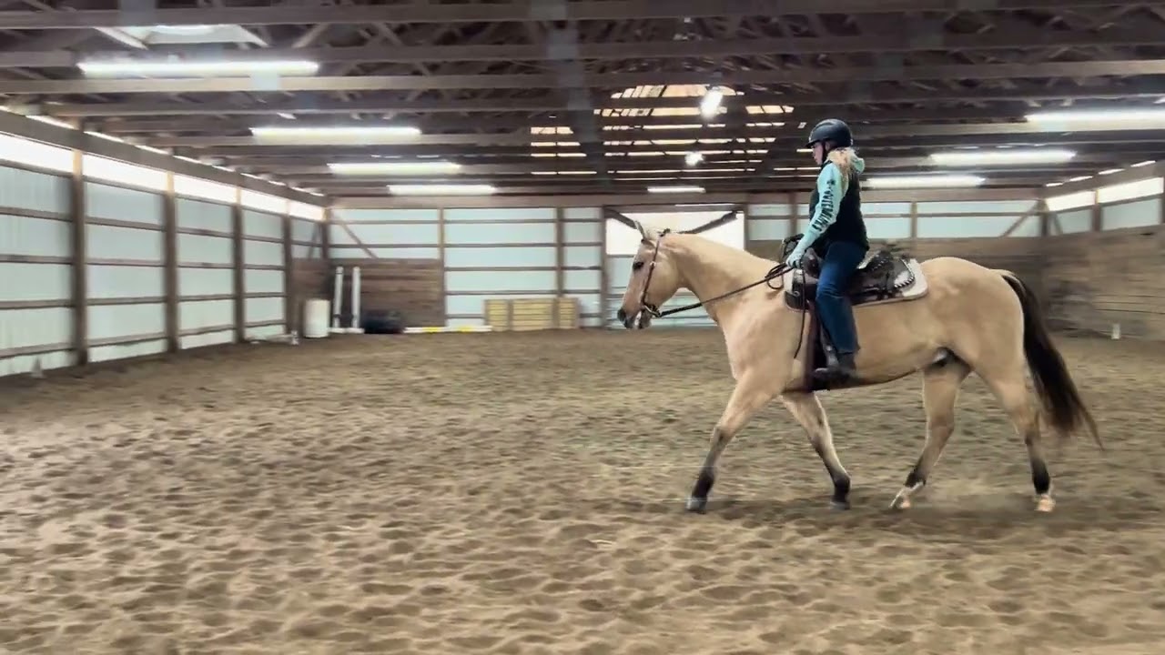 Maggie Schleppi - LL Frenchman’s Dakota - WDAA Intro 1
