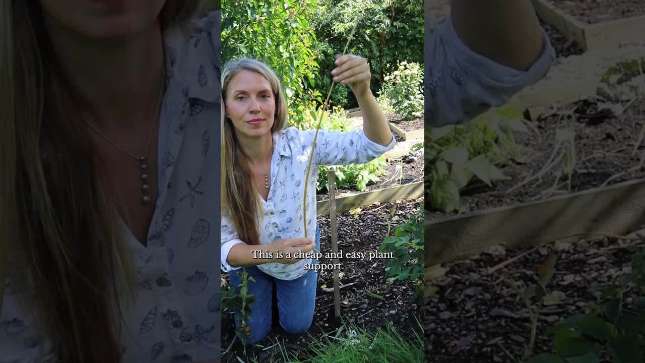 EASY DIY Plant Supports for Flowers and Tall Vegetables #gardening #garden