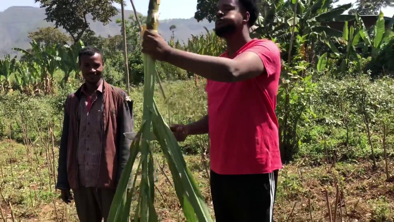 Wondo Genet Sidama Ethiopia