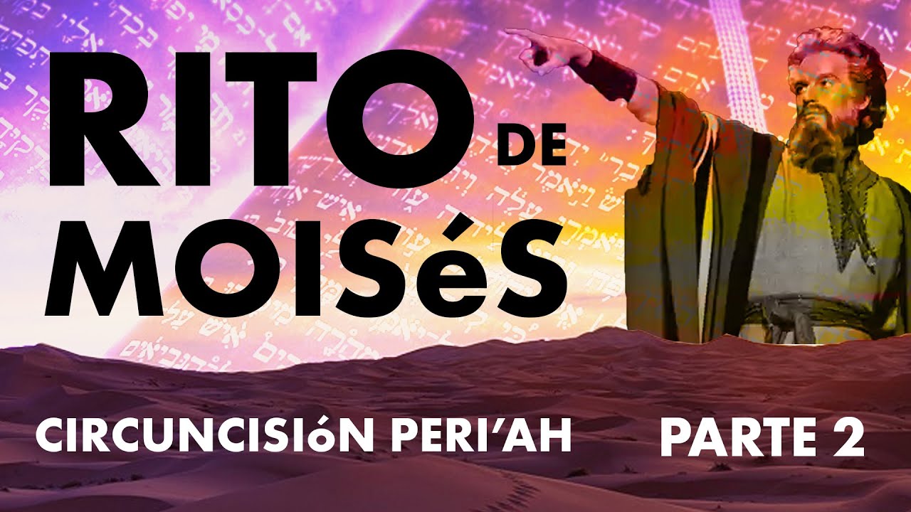 ¿Qué es el Rito de Moisés? La Circuncisión Peri'ah de la Ley Oral - Parte #2 de 4