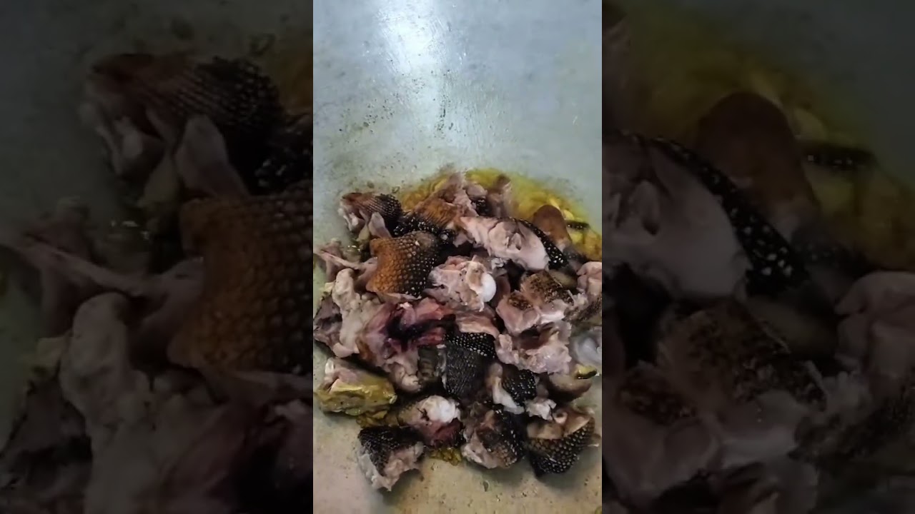 MYWIFE MASAK EXOTIC 