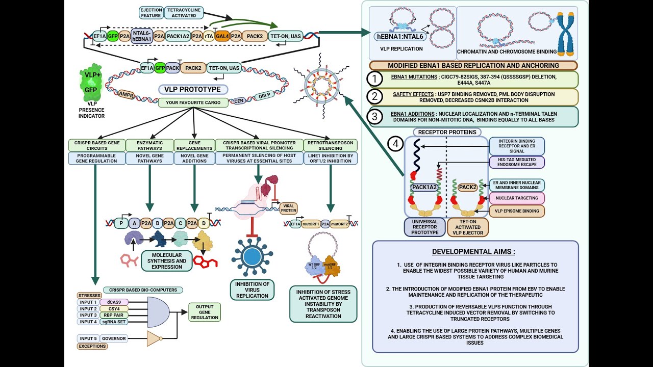 A breakdown of Revolutionizing Bioengineering through CRISPR biocomputer particles