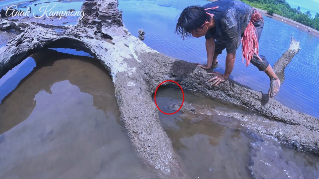 This Man Was So Lucky He Found a King Crab While Hunting