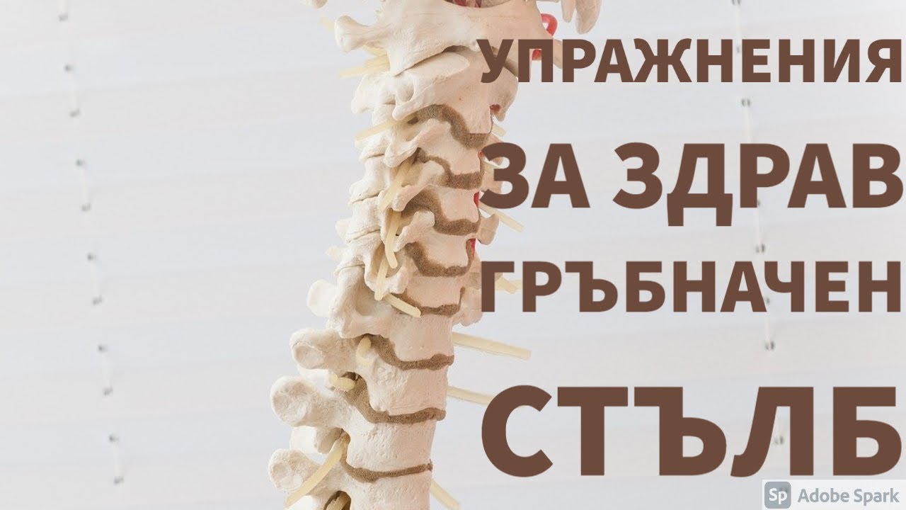 10 минути за укрепване на Гръбначния стълб