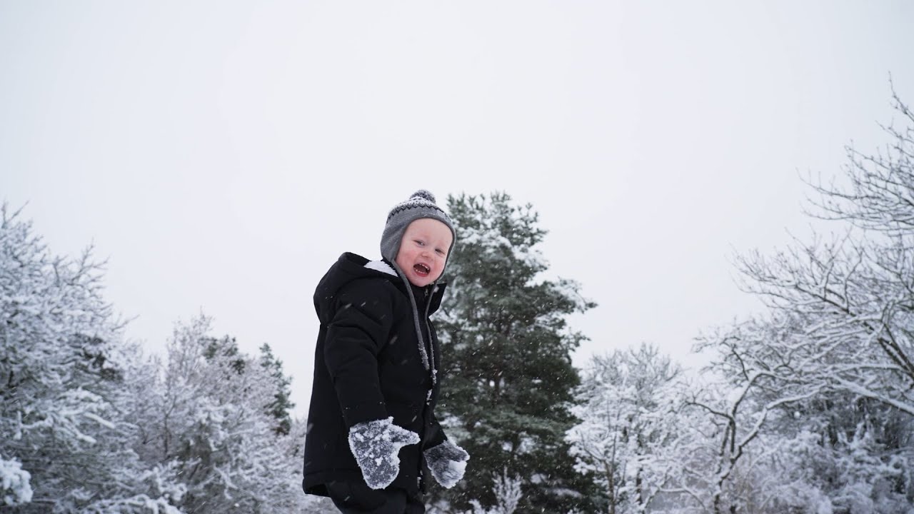 Snowy morning | 4K 100FPS SONY FX6