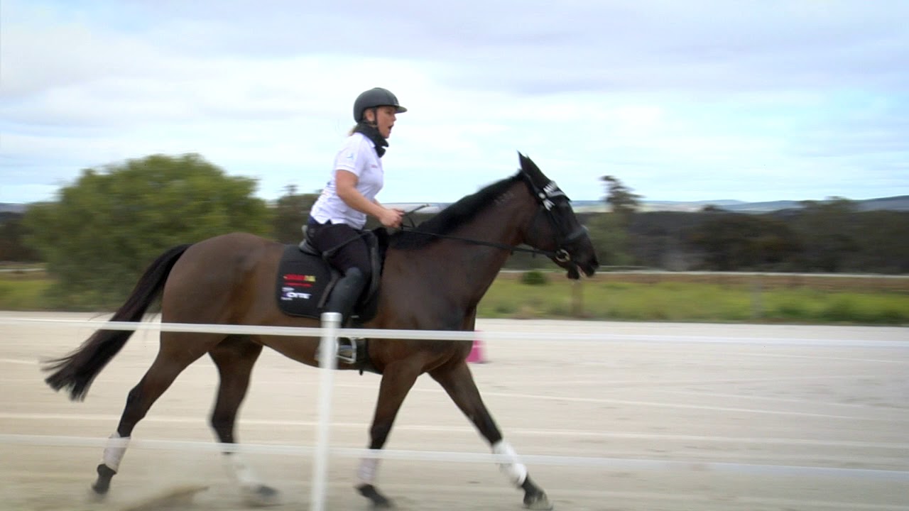 Video 3  Establishing Canter