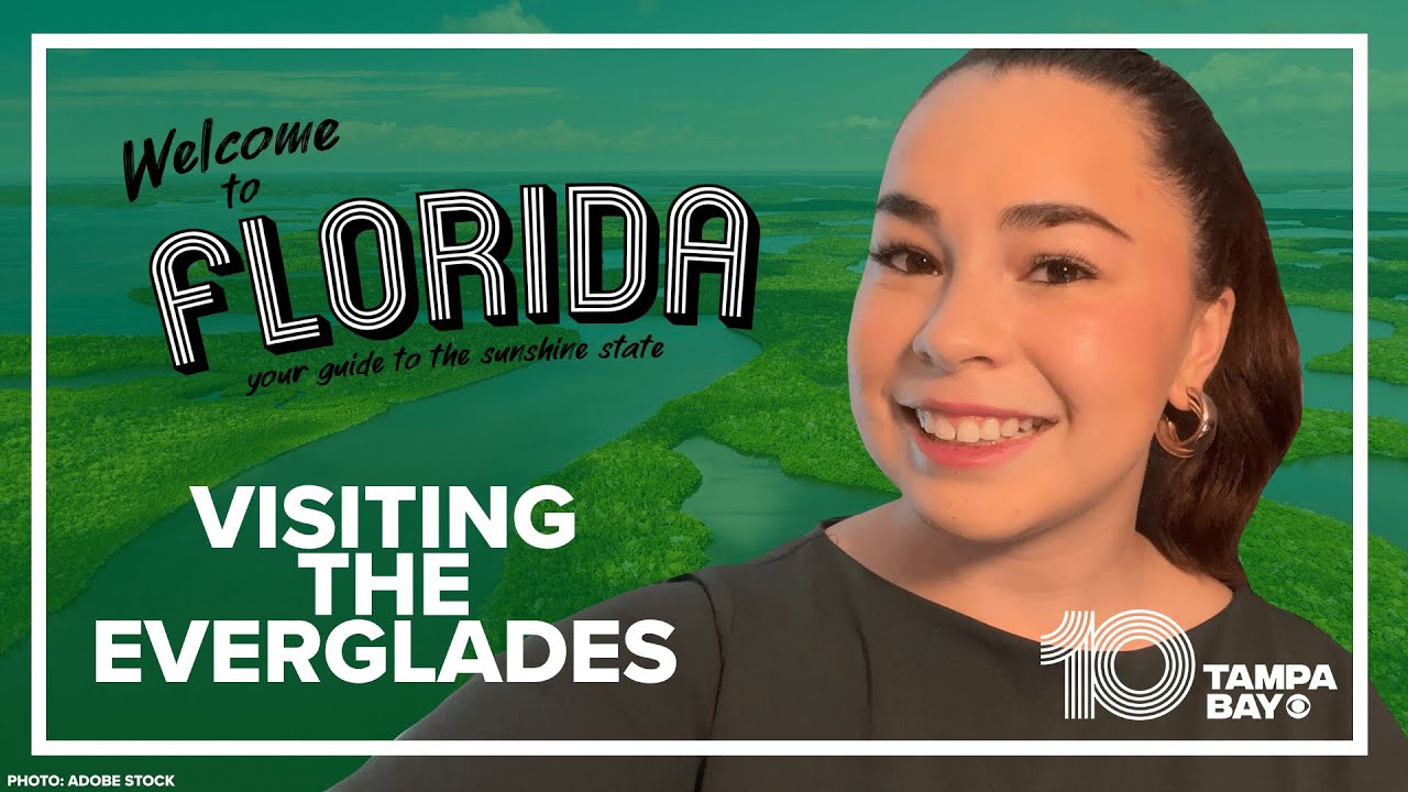 Planning a trip to the Everglades? Here&rsquo;s what you need to know