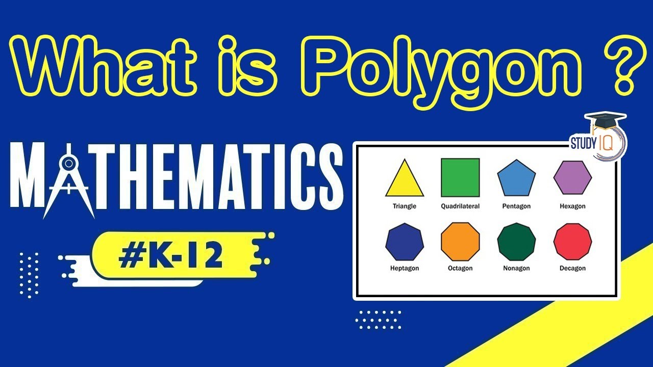 What is Polygon? Introducing K12 Courses by Study IQ