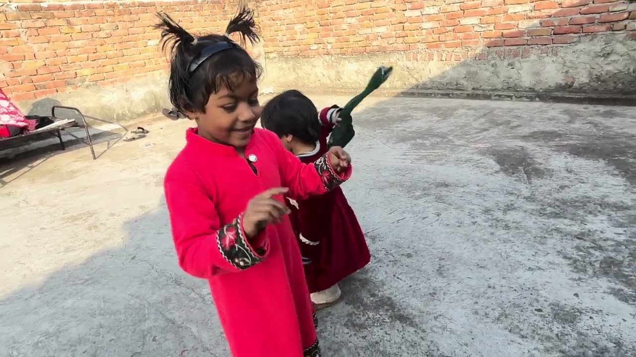 Ghar ka chota sa vlog video 